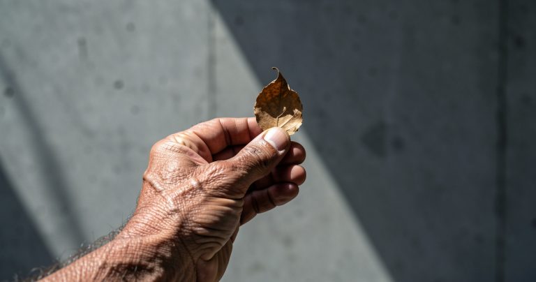 Anciens otages en Iran : témoignage poignant sur leur détention