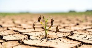 Chaleur extrême en avril : l'alerte d'un agroclimatologue sur les réserves d'eau et les cultures