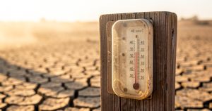 Canicule : 1243 décès en excès recensés en juillet 2026